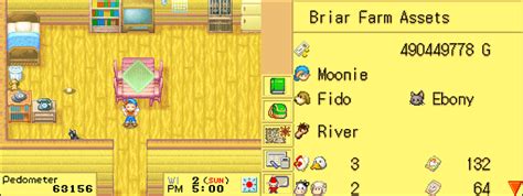 A Beginner's Guide to Wui Harvest Moon: Magical Melody